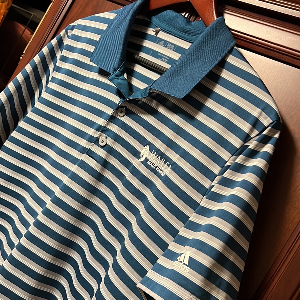 Adidas Rare Wailea Maui Hawaiian Striped Tournament Golf Polo Green,Gray & White - Picture 4 of 8